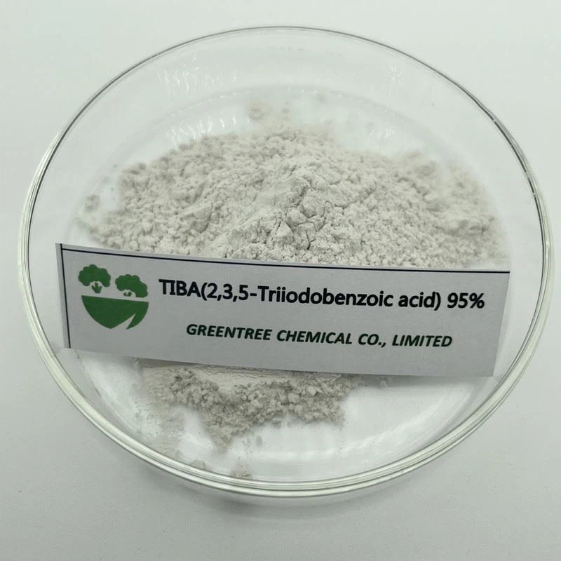 CAS NO. 88-82-4 잔디용 식물 생장 지연제 2,3,5-Triiodobenzoic Acid TIBA 95%