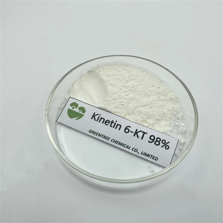 농약 옥신 6- KT 6KT 키네틴 사이토 키닌 98% TC 가격