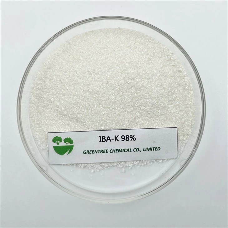 CAS 60096-23-3 Rooting Hormone Iba-K Indole Butyric Acid Potassium 98%