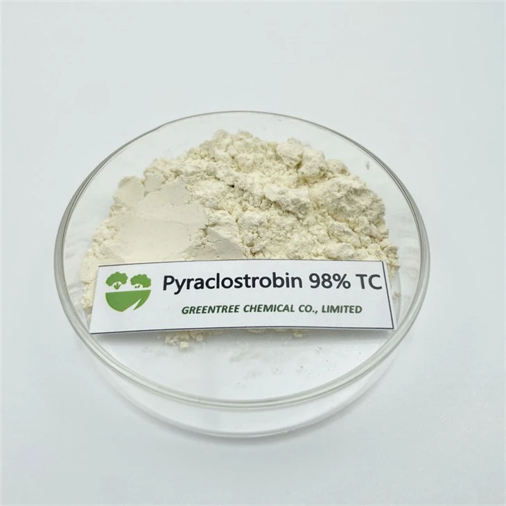 CAS NO. 175013-18-0 Pyraclostrobine Fungicide 97% Tc Technical