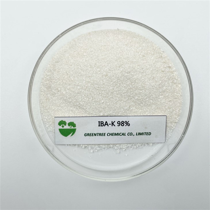 CAS 번호 60096-23-3 발근 호르몬 IBA-K 인돌 부티르산 칼륨 염 98%
