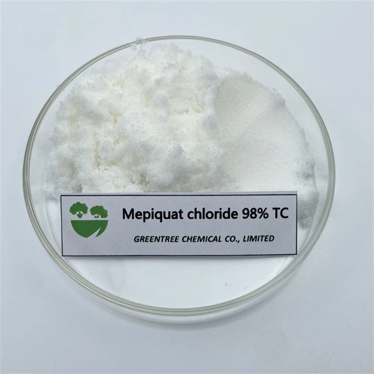 비료 Mepiquat Chloride 98% Tc Pgr 식물 성장 호르몬 24307-26-4