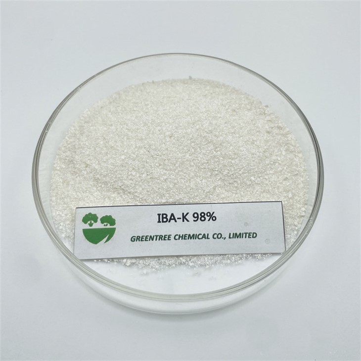 Iba-K Indolebutyric Acid Potassium Salt 98%Tc Agricultural Growth Regulator CAS No. 60096-23-3