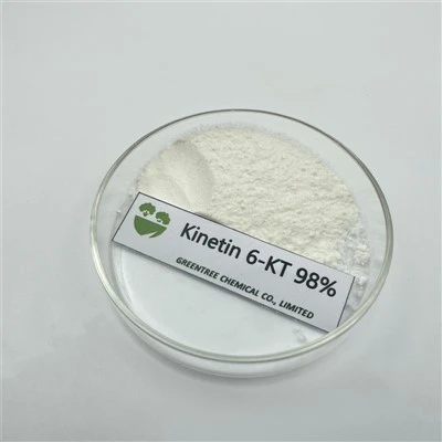 농약 옥신 6- KT 6KT 키네틴 사이토 키닌 98% TC 가격