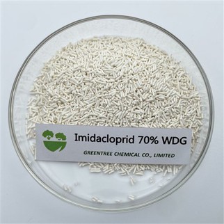 CAS NO. 138261-41-3 살충제 Imidacloprid 70% Wdg