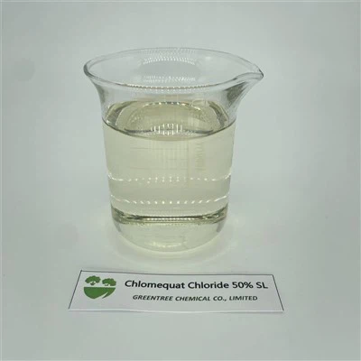클로로메콰트 클로라이드(CCC) 50%SL 핫세일 식물 호르몬 화학 물질